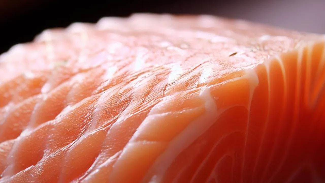 benefit-of-salmon-fish